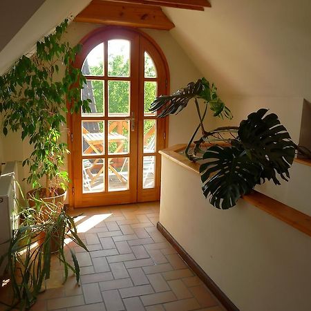 Aranyhaz Apartmanszallas Tihany Extérieur photo